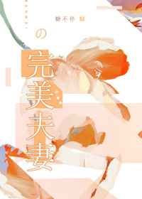 安以南陈训重生七零禁欲兵哥夜夜宠最新章节在线阅读